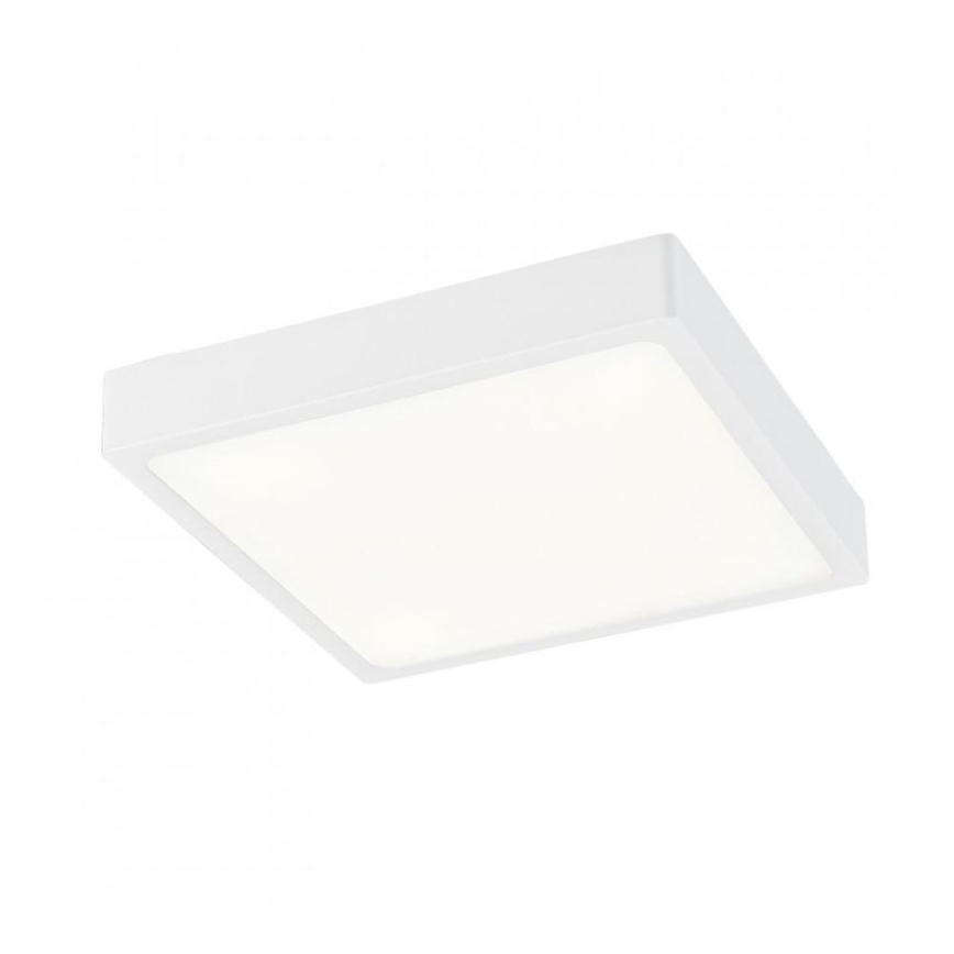 Globo - LED Stropní svítidlo LED/22W/230V