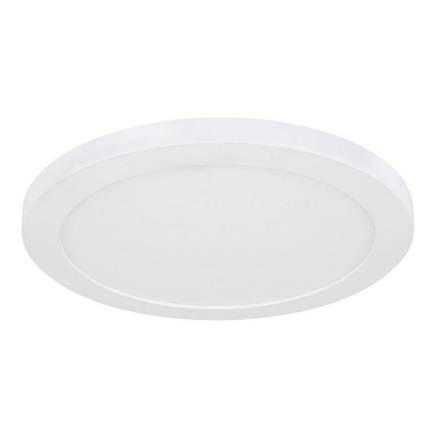 Globo - LED Stropní svítidlo LED/24W/230V 3000/4000/6500K bílá