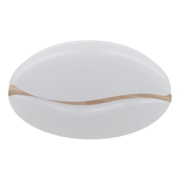 Globo - LED Stropní svítidlo LED/24W/230V 3000/4200/6000K pr. 33 cm