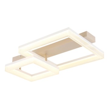 Globo - LED Stropní svítidlo LED/24W/230V 3000K 33x53 cm