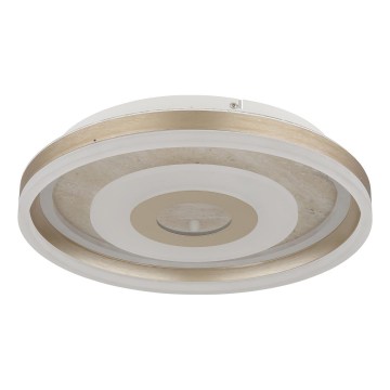 Globo - LED Stropní svítidlo LED/24W/230V 3000K pr. 40 cm