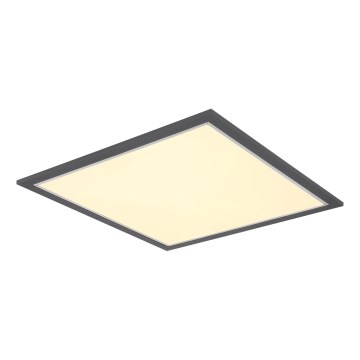 Globo - LED Stropní svítidlo LED/24W/230V
