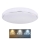 Globo - LED Stropní svítidlo LED/32W/230V 3000/4000/6000K pr. 49 cm