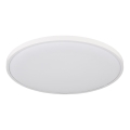 Globo - LED Stropní svítidlo LED/32W/230V 4000K pr. 40 cm bílá