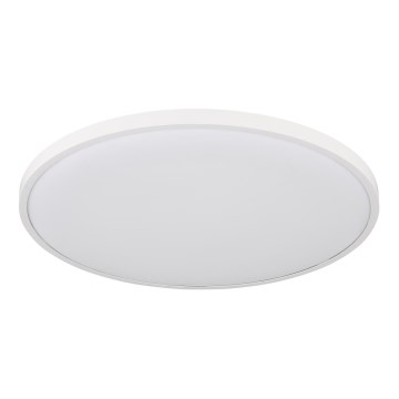 Globo - LED Stropní svítidlo LED/32W/230V 4000K pr. 40 cm bílá
