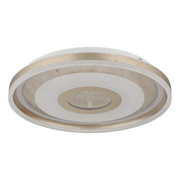 Globo - LED Stropní svítidlo LED/40W/230V 3000K pr. 50 cm
