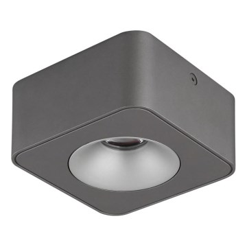 Globo - LED Stropní svítidlo LED/6,5W/230V 11,7x11,7 cm