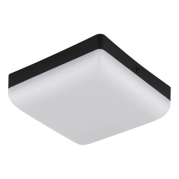 Globo - LED Stropní svítidlo LED/8W/230V 4000K 12x12 cm černá