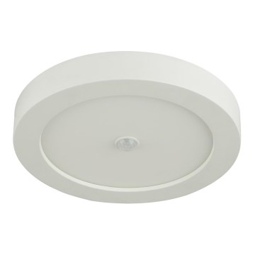 Globo - LED Venkovní stropní svítidlo se senzorem LED/18W/230V IP44