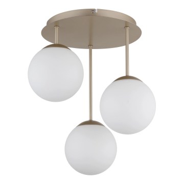 Globo - Přisazený lustr 3xE14/25W/230V mosaz