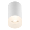 Globo - Stropní svítidlo 1xGU10/35W/230V