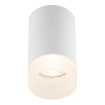 Globo - Stropní svítidlo 1xGU10/35W/230V