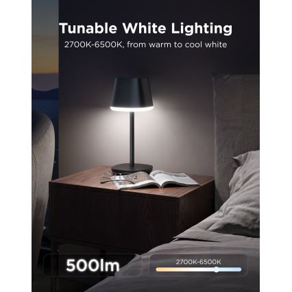 Govee - LED RGBICWW Stmívatelná stolní lampa CLASSIC MATTER LED/10W/5V 4800mAh Wi-Fi