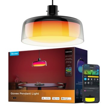 Govee - LED RGBICWW Stmívatelný lustr na lanku LED/21W/230V Matter Wi-Fi