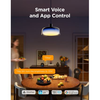 Govee - LED RGBICWW Stmívatelný lustr na lanku LED/21W/230V Matter Wi-Fi