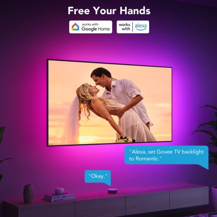 Govee - TV 55-65 SMART LED podsvícení RGBIC Wi-Fi