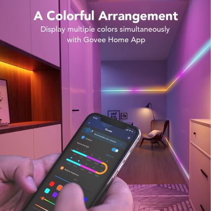 Govee - Wi-Fi RGBIC Smart PRO LED pásek 3m - extra odolný