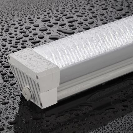 Greenlux GXWP193 - LED Zářivkové svítidlo DUST PROFI LED/55W/230V IP66