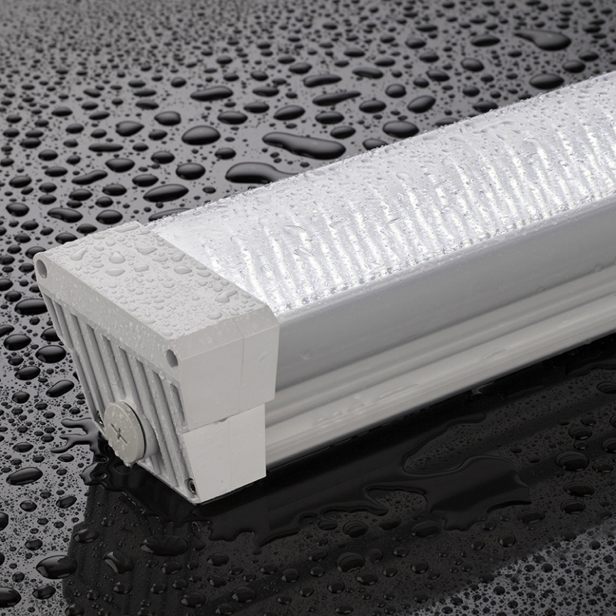 Greenlux GXWP193 - LED Zářivkové svítidlo DUST PROFI LED/55W/230V IP66