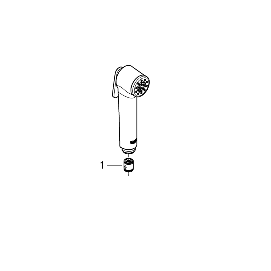 GROHE 26506000 - Ruční sprcha TEMPESTA-F 36 mm lesklý chrom