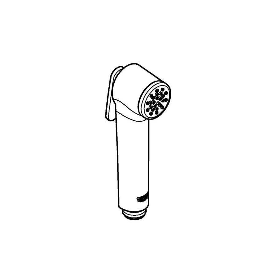 GROHE 26506000 - Ruční sprcha TEMPESTA-F 36 mm lesklý chrom