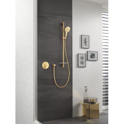 GROHE 26574GN0 - Ruční sprcha RAINSHOWER SMARTACTIVE 130 broušená zlatá
