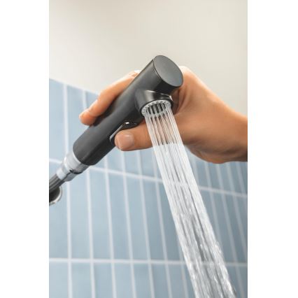 GROHE 30270AL0 - Dřezová baterie ESSENCE grafit