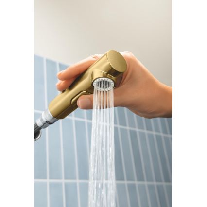 GROHE 30270GN0 - Dřezová baterie ESSENCE zlatá