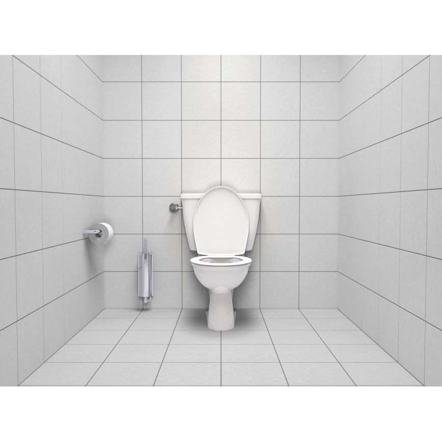 GROHE 40374001 - Souprava na čištění toalety ESSENTIALS 12,1 x 39,8 cm chrom