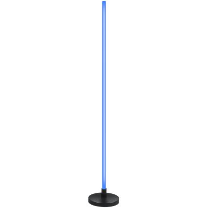 Grundig - LED RGB Stmívatelná stojací lampa LED/5W/5V + dálkové ovládání