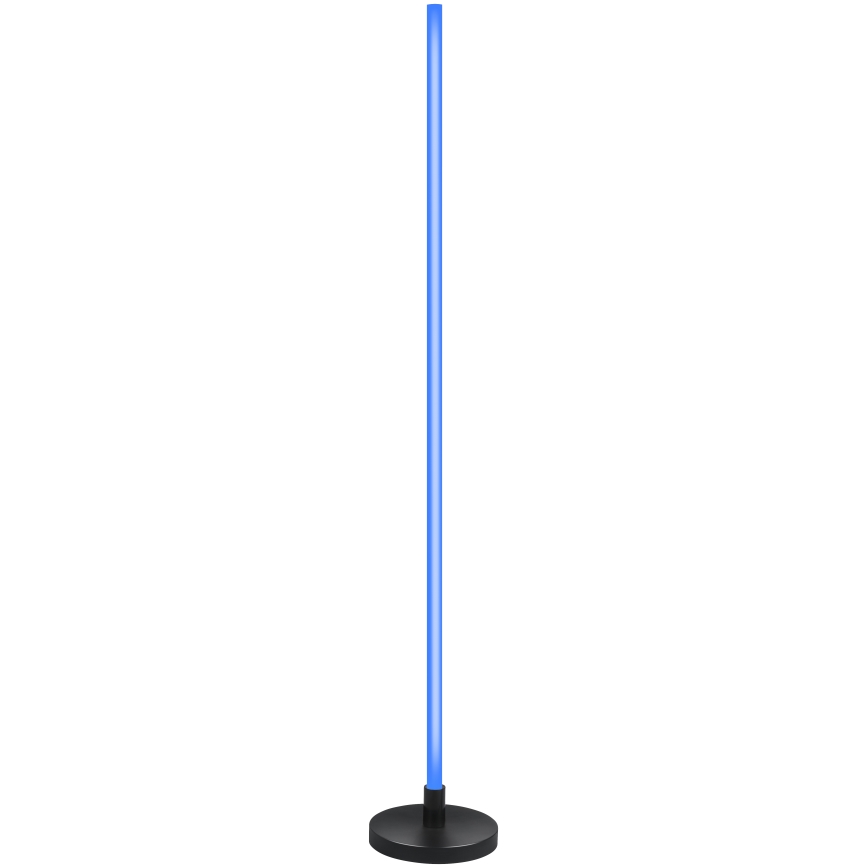 Grundig - LED RGB Stmívatelná stojací lampa LED/5W/5V + dálkové ovládání