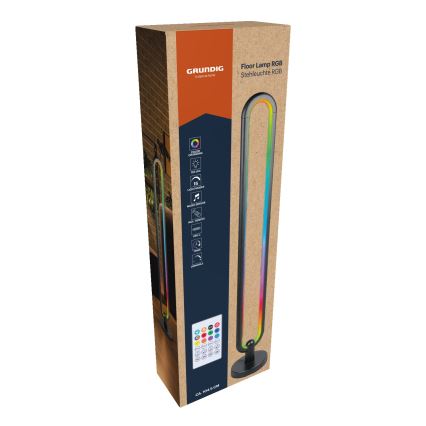 Grundig - LED RGB Stmívatelná stojací lampa LED/8W/5V + dálkové ovládání