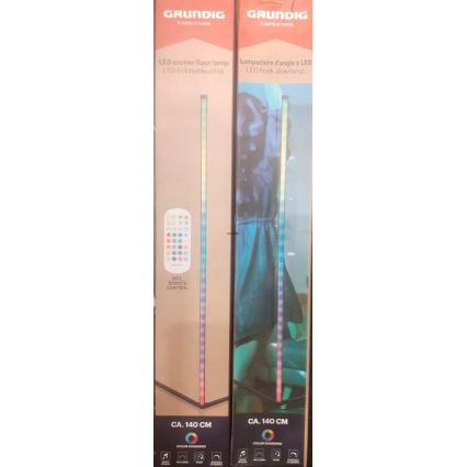 Grundig - LED RGBW Stmívatelná stojací lampa LED/6W/230V + dálkové ovládání