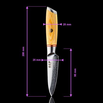 Gudaro - Damaškový kuchyňský nůž HIKARI 3,5, 67 vrstev oceli, délka 9,5 cm