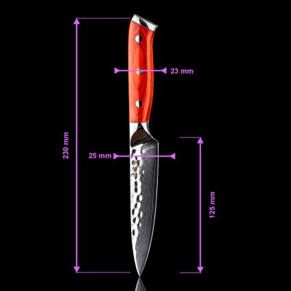 Gudaro - Damaškový univerzální kuchyňský nůž MIYABI 5, 67 vrstev oceli, délka 12,5 cm