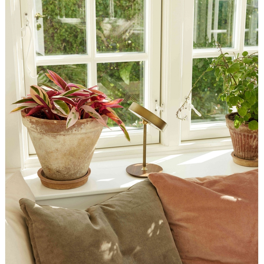 Halo Design 745784 - LED Stmívatelná nabíjecí stolní lampa ON THE MOVE LED/2,5W/4000 mAh mosaz/dřevo