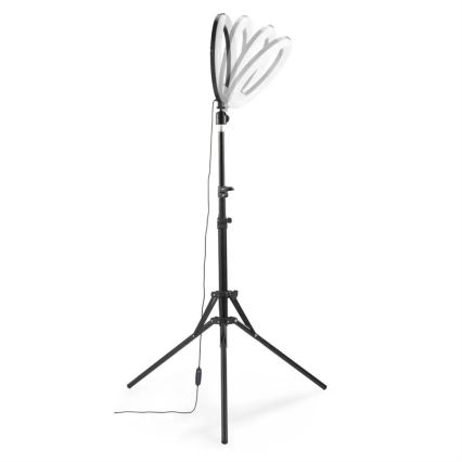 Hama - LED Stmívatelné kruhové světlo se stativem LED/10W/5V pr. 30 cm + dálkové ovládání