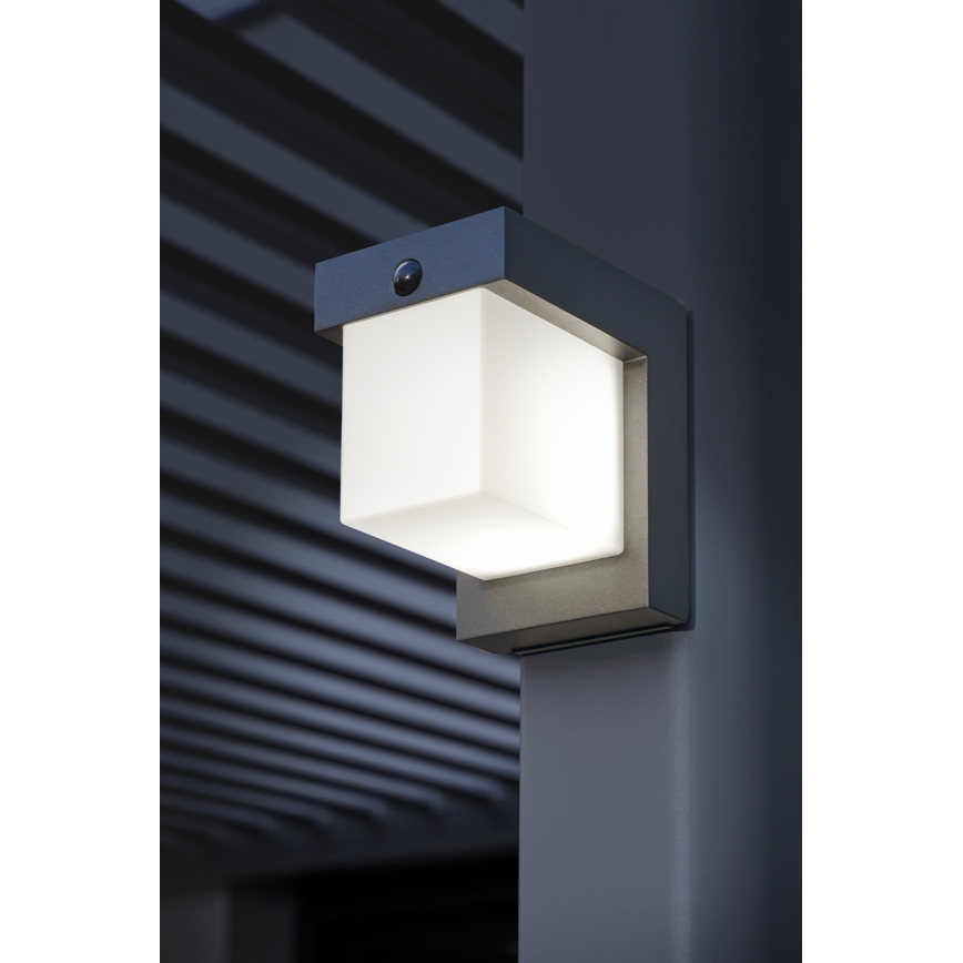 Hesperide - LED Solární nástěnné svítidlo se senzorem pohybu MULTY LED/3,7V 2600 mAh IP65 antracit
