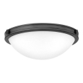 Hinkley - Stropní svítidlo COLLIER 2xE27/40W/230V pr. 34,6 cm černá