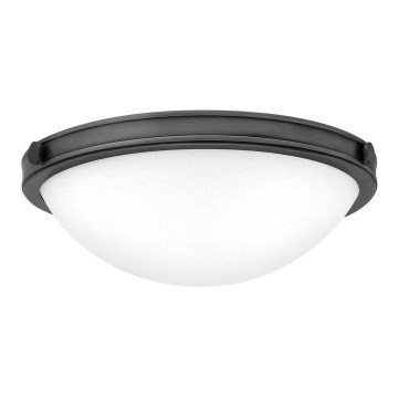 Hinkley - Stropní svítidlo COLLIER 2xE27/40W/230V pr. 34,6 cm černá