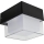 HÖFFTECH - LED Venkovní nástěnné svítidlo LED/4W/230V IP65