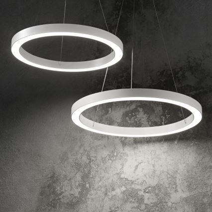 Ideal Lux - LED Lustr na lanku ORACLE LED/28W/230V 3000K pr. 50 cm CRI 90 bílá