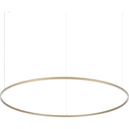 Ideal Lux - LED Lustr na lanku ORACLE SLIM LED/81W/230V 3000K CRI 90 pr. 150 cm zlatá