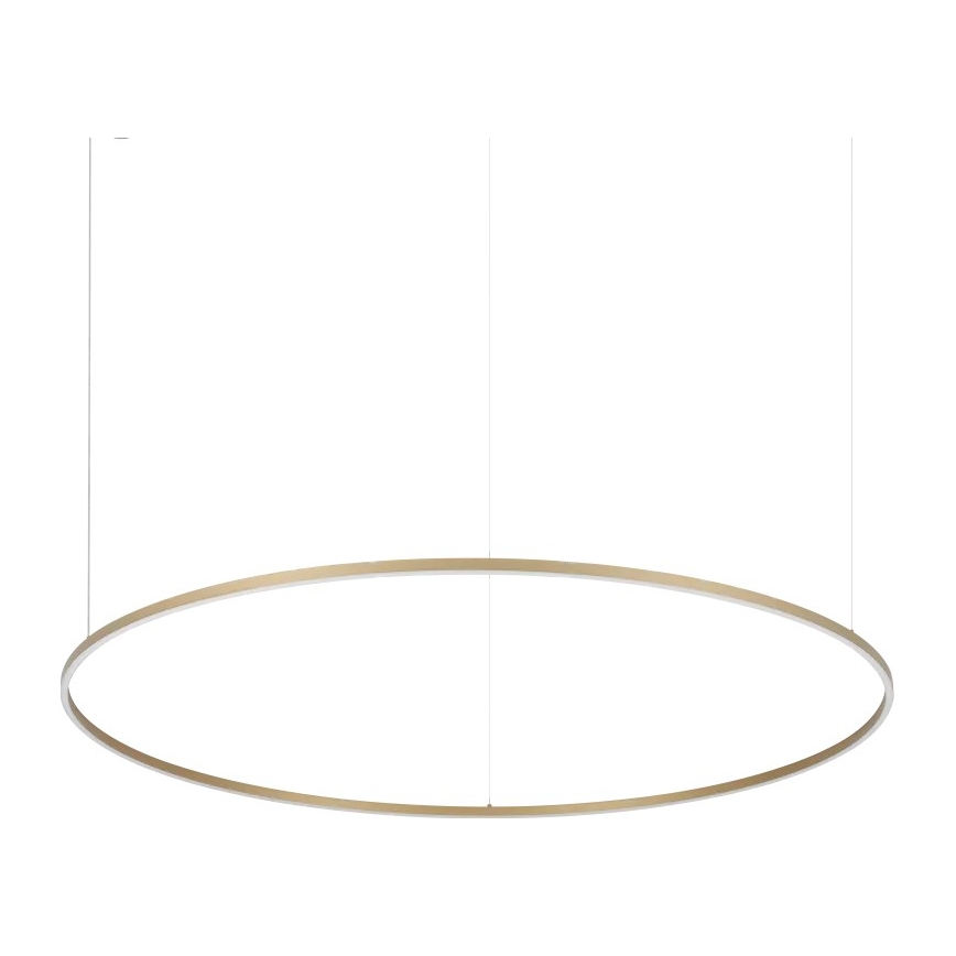 Ideal Lux - LED Lustr na lanku ORACLE SLIM LED/81W/230V 3000K CRI 90 pr. 150 cm zlatá
