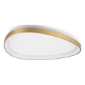 Ideal Lux - LED Stropní svítidlo GEMINI LED/30W/230V pr. 61 cm CRI 90 zlatá