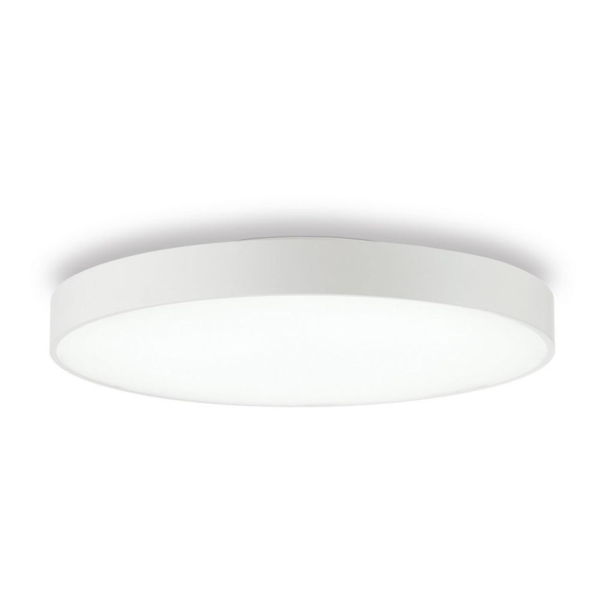 Ideal Lux - LED Stropní svítidlo HALO LED/44W/230V