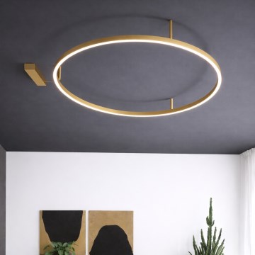 Ideal Lux - LED Stropní svítidlo ORACLE SLIM LED/81W/230V 3000K CRI 90 pr. 150 cm zlatá