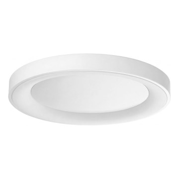 Ideal Lux - LED Stropní svítidlo PLANET LED/25W/230V CRI 90 pr. 50 cm bílá