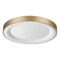 Ideal Lux - LED Stropní svítidlo PLANET LED/25W/230V CRI 90 pr. 50 cm mosaz