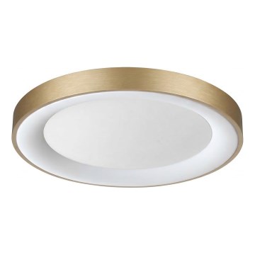 Ideal Lux - LED Stropní svítidlo PLANET LED/25W/230V CRI 90 pr. 50 cm mosaz